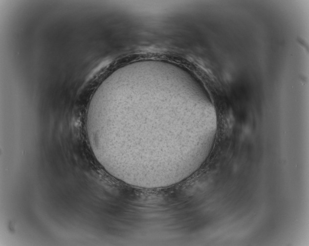 X0000098161254200804241755