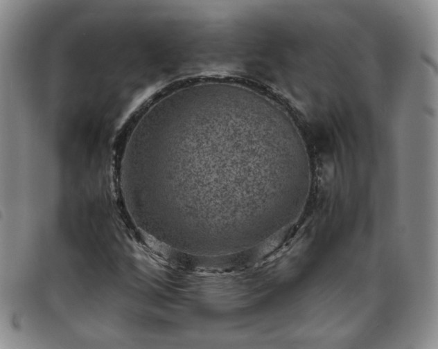 X0000098161256200804241755