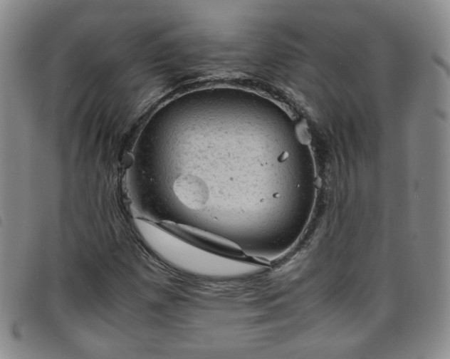 X0000098161257200804241755