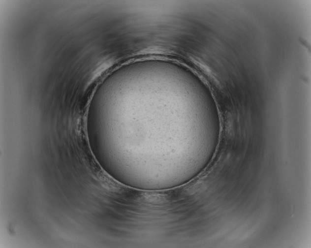 X0000098161258200804241755