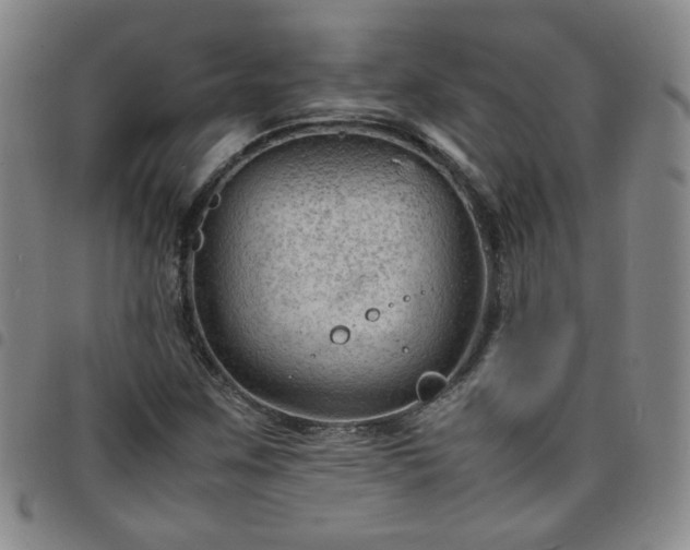 X0000098161259200804241755