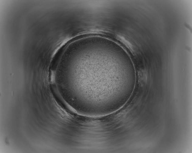 X0000098161260200804241755