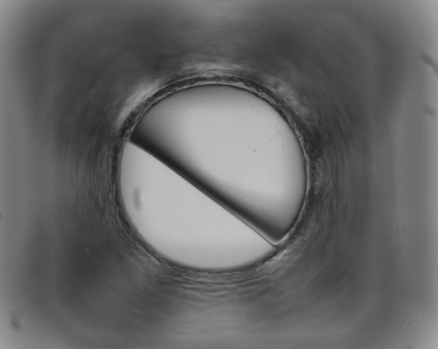 X0000098161261200804241755