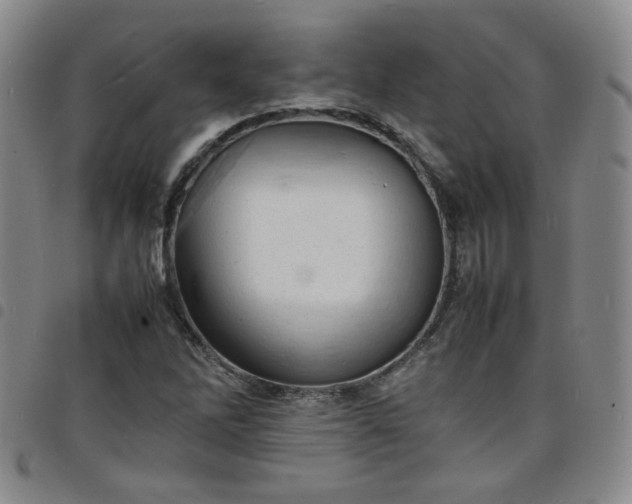 X0000098161262200804241755