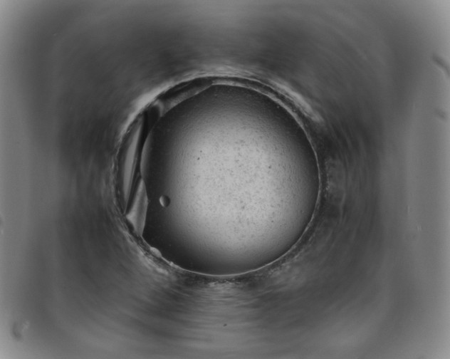 X0000098161264200804241755