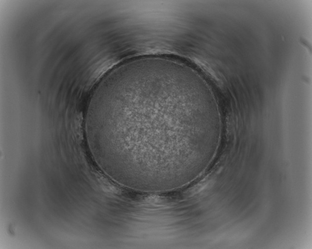 X0000098161265200804241755