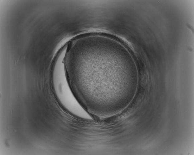 X0000098161271200804241755