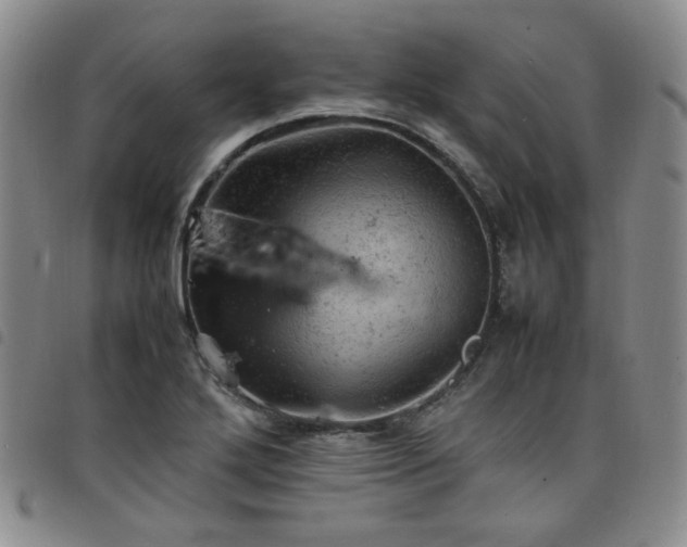 X0000098161272200804241755