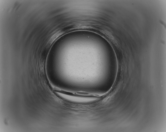 X0000098161273200804241755