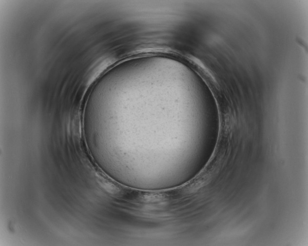 X0000098161274200804241755