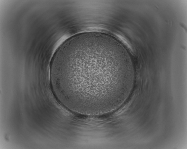 X0000098161275200804241755