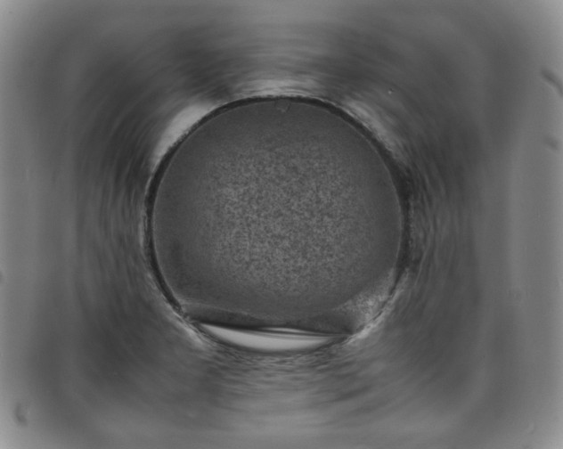 X0000098161277200804241755