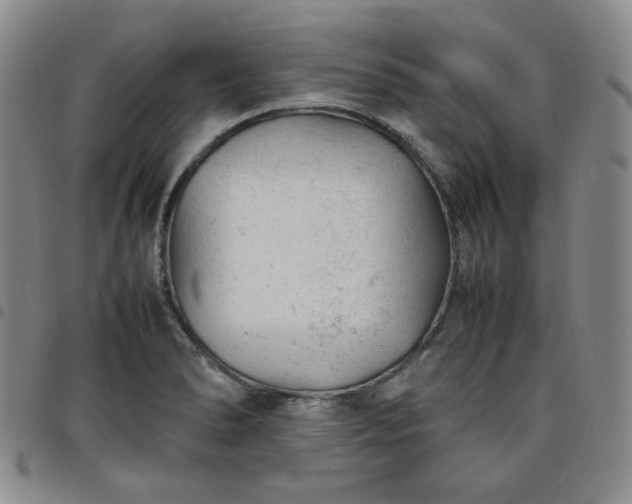 X0000098161278200804241755