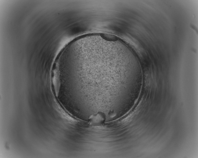 X0000098161280200804241755