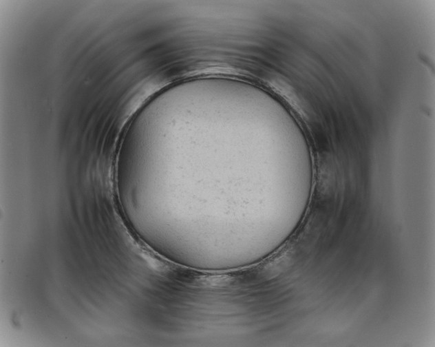 X0000098161282200804241755