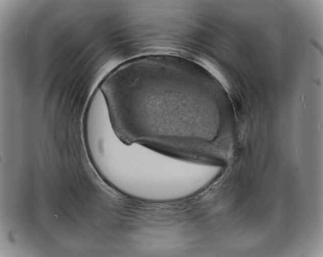 X0000098161283200804241755