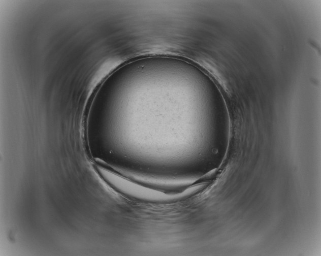 X0000098161285200804241755