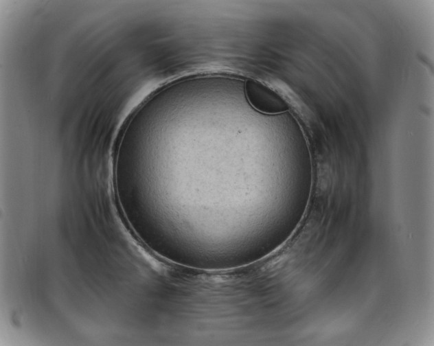 X0000098161286200804241755