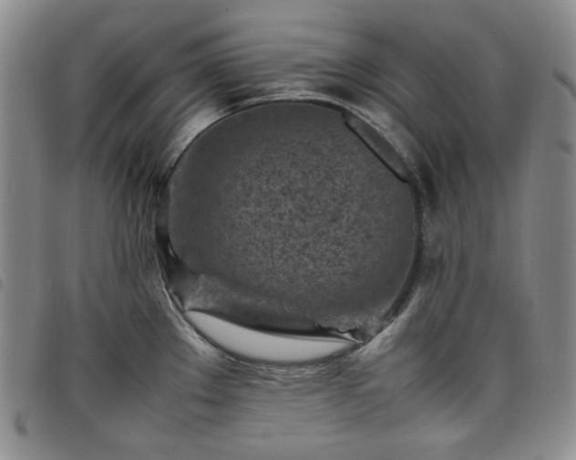 X0000098161289200804241755