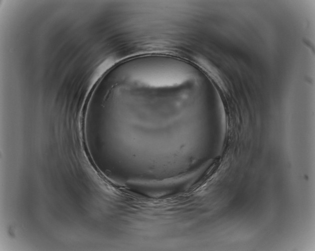 X0000098161291200804241755