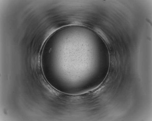 X0000098161292200804241755