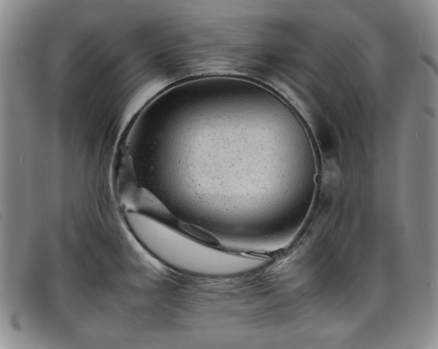X0000098161293200804241755