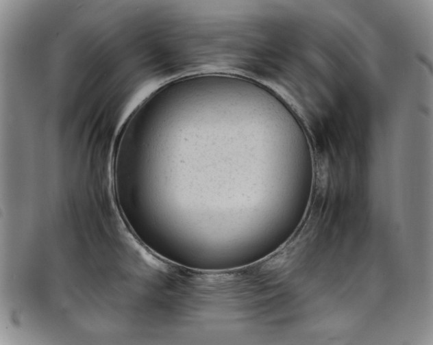 X0000098161294200804241755