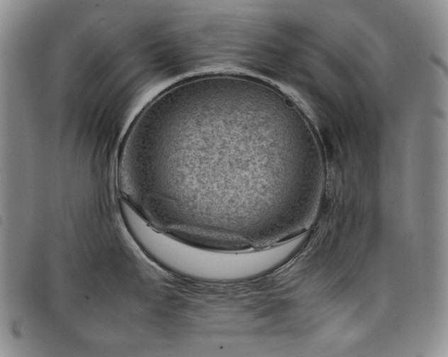 X0000098161295200804241755