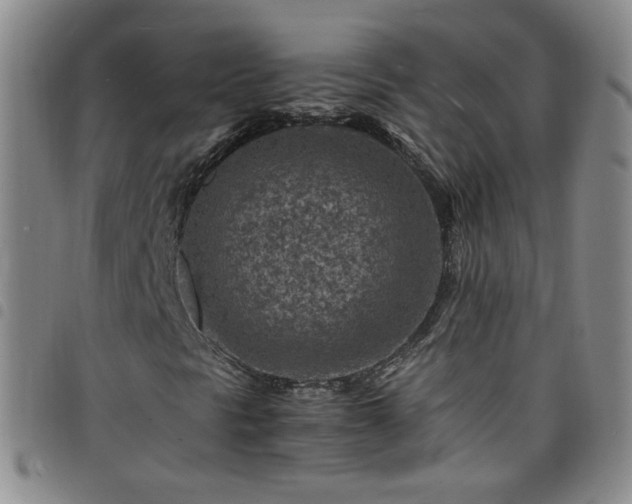 X0000098161297200804241754