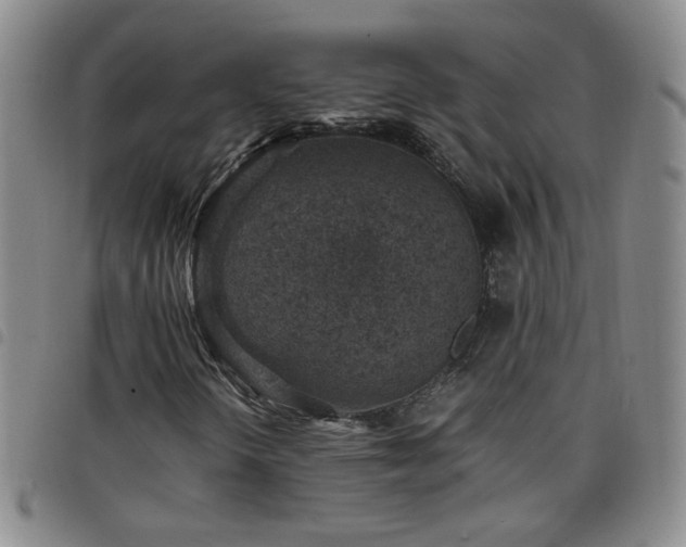 X0000098161298200804241754
