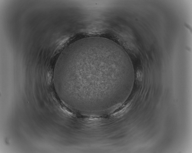 X0000098161300200804241754