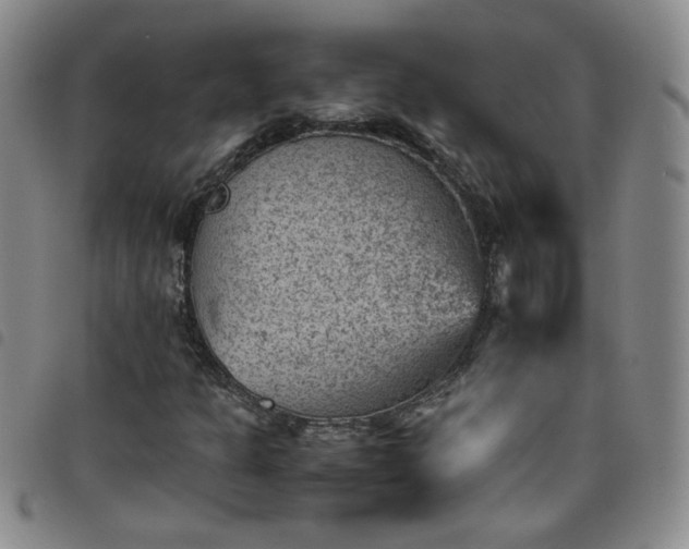 X0000098161301200804241754