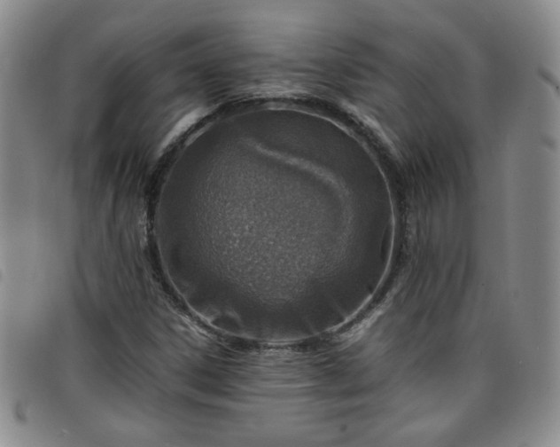 X0000098161306200804241754