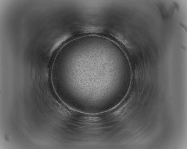 X0000098161309200804241754