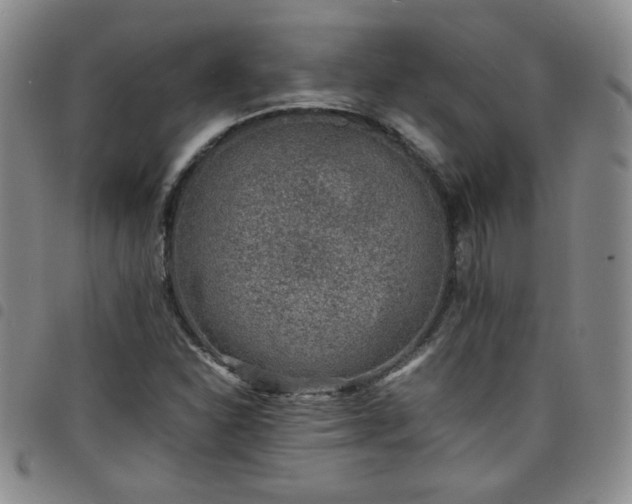 X0000098161310200804241754