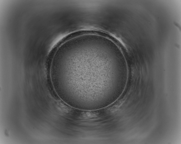 X0000098161311200804241754