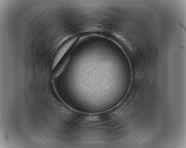X0000098161313200804241754