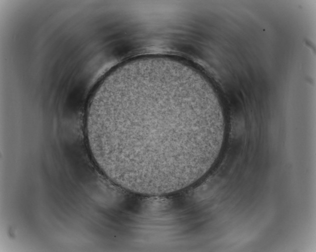 X0000098161314200804241754