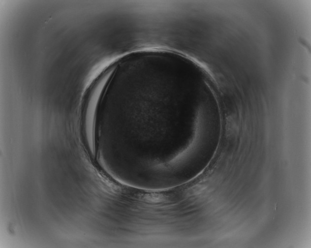X0000098161319200804241754