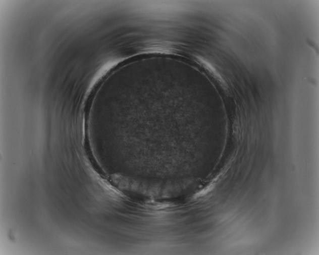 X0000098161323200804241754