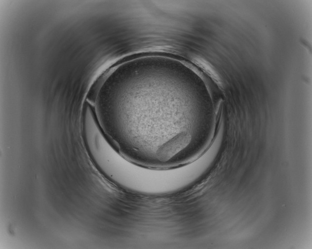 X0000098161324200804241754
