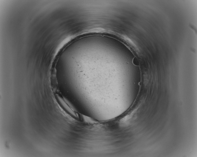 X0000098161326200804241755