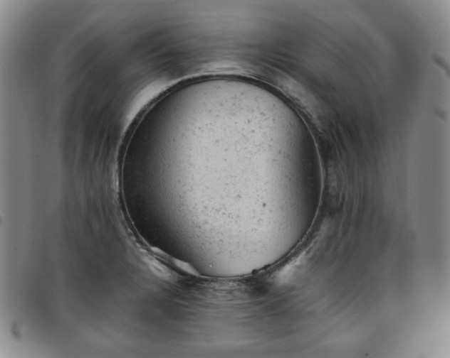 X0000098161328200804241755