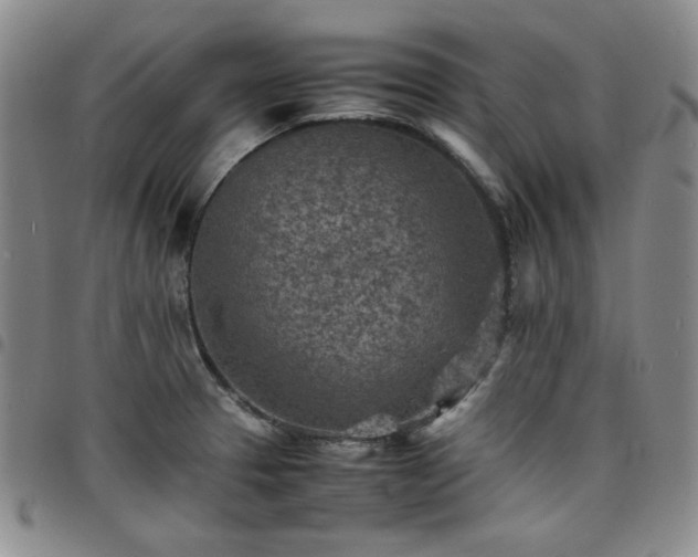 X0000098161329200804241755