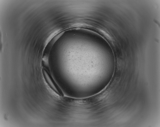 X0000098161330200804241755