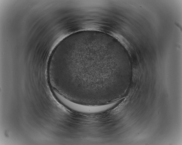 X0000098161331200804241755