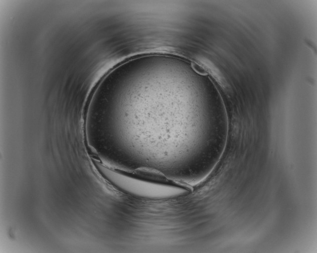 X0000098161332200804241755