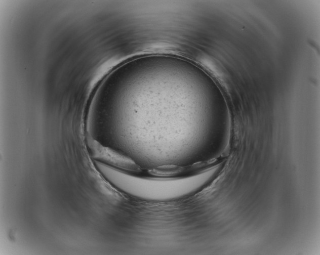 X0000098161336200804241755
