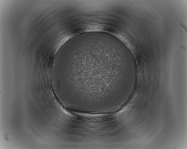 X0000098161337200804241755