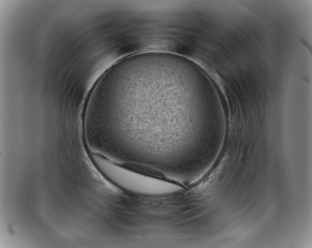 X0000098161341200804241755